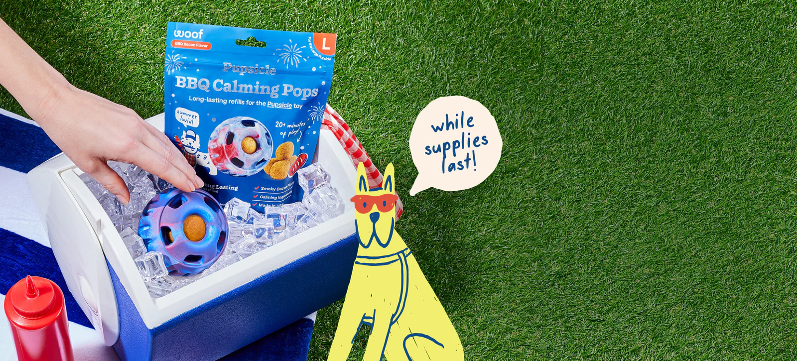 Unleash Pure Playtime Perfection