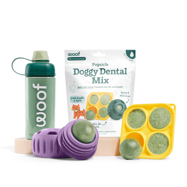Dental Mix Basics - Image 2