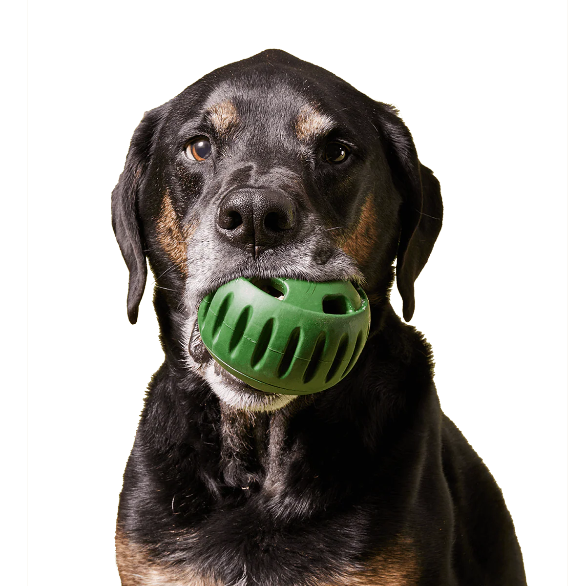 Stocking Stuffer - Image 4